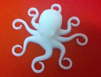 /album/galerie/chobotnice-jpg/